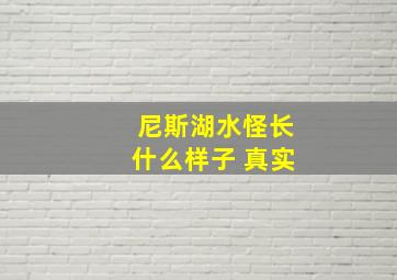 尼斯湖水怪长什么样子 真实